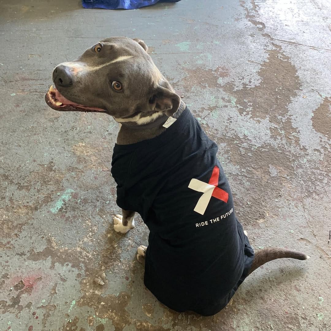 The Heartbeat Never Stops: Inside Go X's 24/7/365 Florida Warehouse Operation